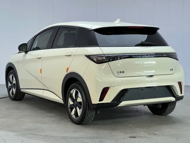BYD Dolphin — Фото автомобиля 16