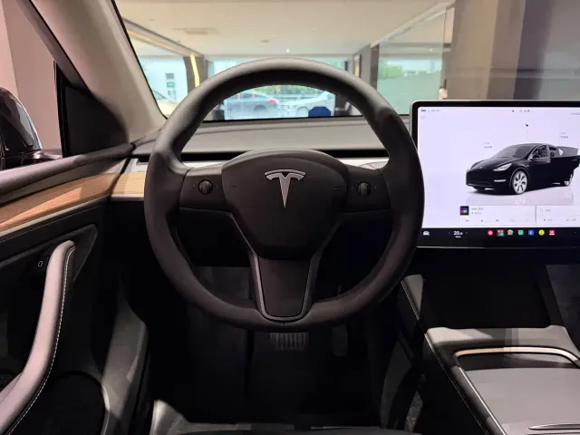 Tesla Model Y — Фото автомобиля 18