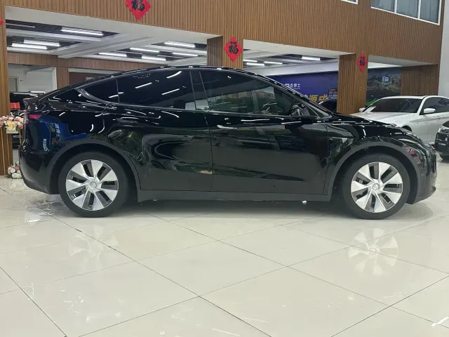 Tesla Model Y — Фото автомобиля 4