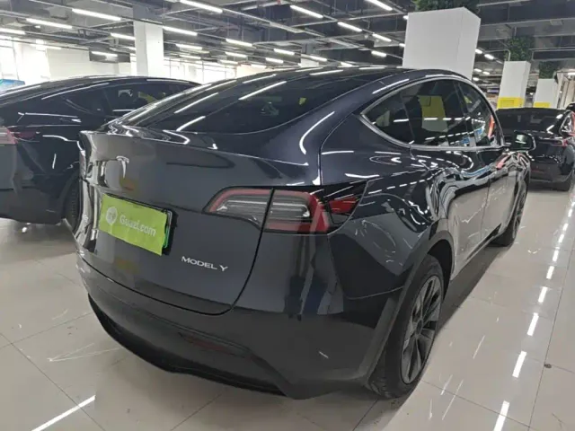 Tesla Model Y — Фото автомобиля 6