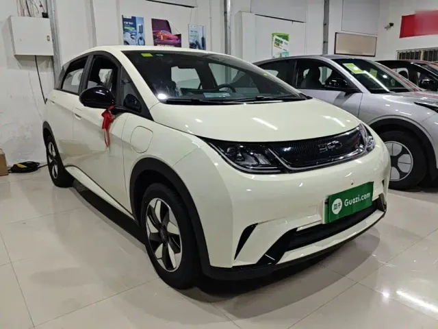 BYD Dolphin — Фото автомобиля 3
