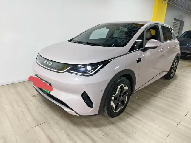 BYD Dolphin — Фото автомобиля 2