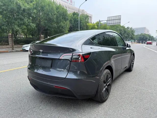 Tesla Model Y — Фото автомобиля 6