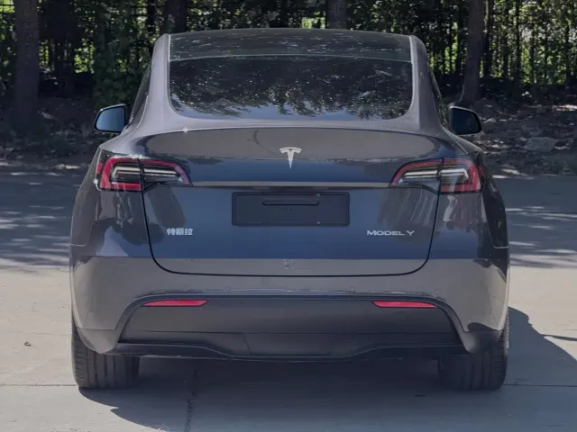Tesla Model Y — Фото автомобиля 5