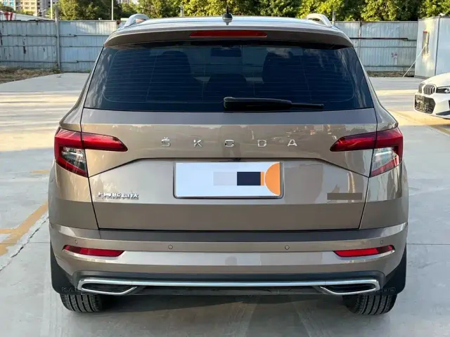 Skoda Karoq — Фото автомобиля 6