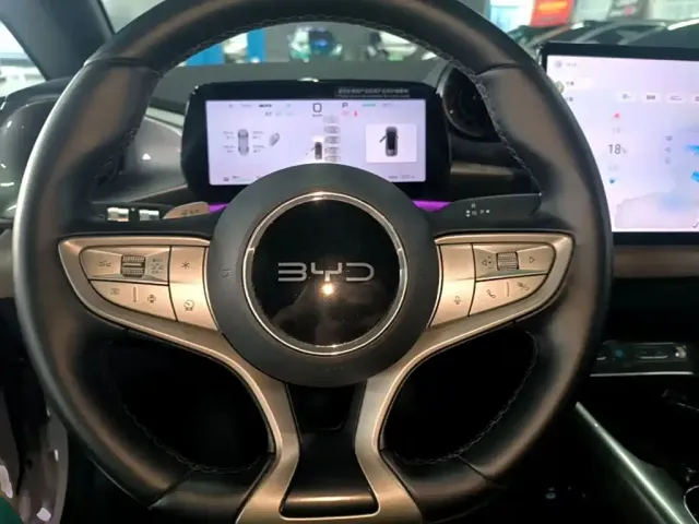 BYD Dolphin — Фото автомобиля 10