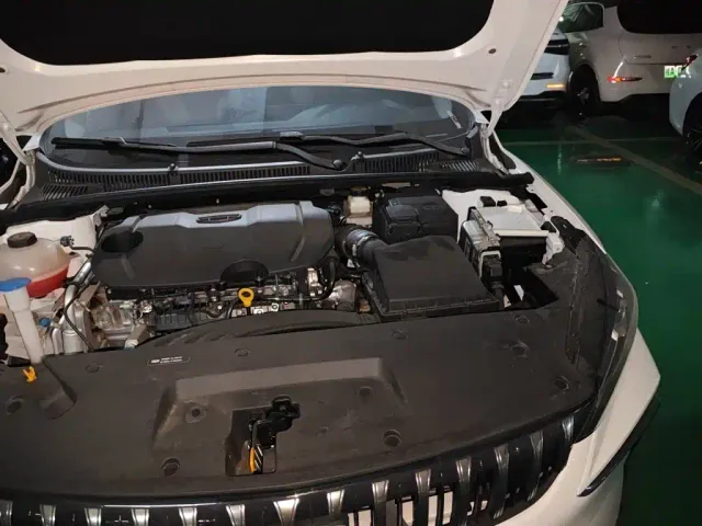 Geely Binrui — Фото автомобиля 19