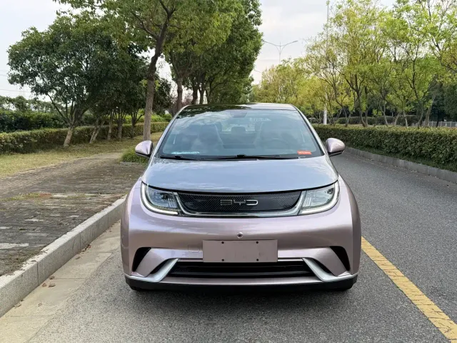 BYD Dolphin — Фото автомобиля 2