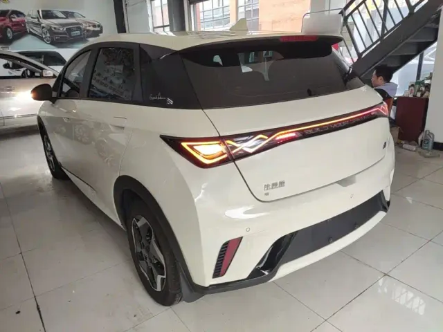 BYD Dolphin — Фото автомобиля 4