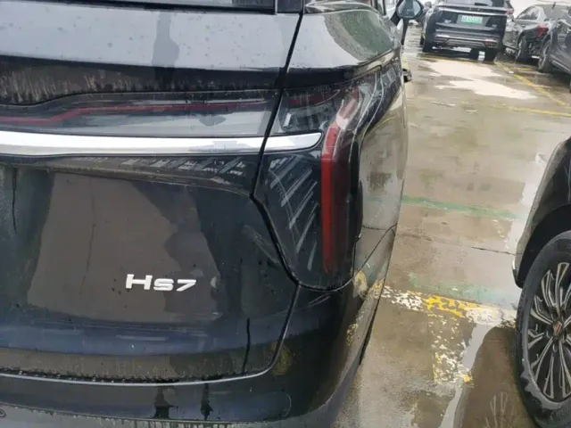Hongqi HS7 PHEV — Фото автомобиля 7
