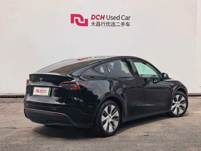 Tesla Model Y — Фото автомобиля 4