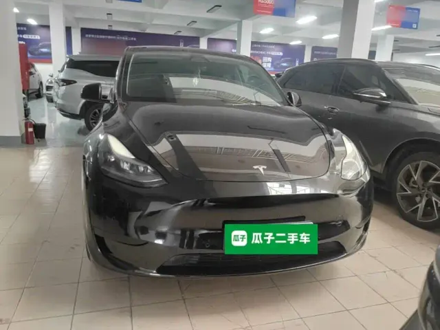 Tesla Model Y — Фото автомобиля 2