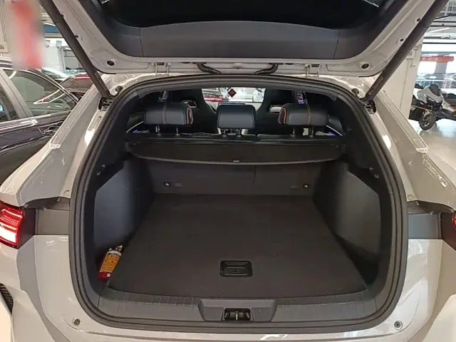 BYD Song PLUS — Фото автомобиля 18