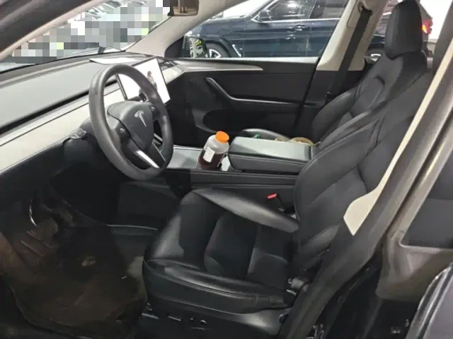 Tesla Model Y — Фото автомобиля 19
