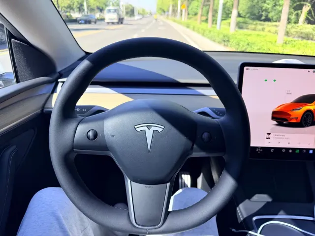 Tesla Model Y — Фото автомобиля 10