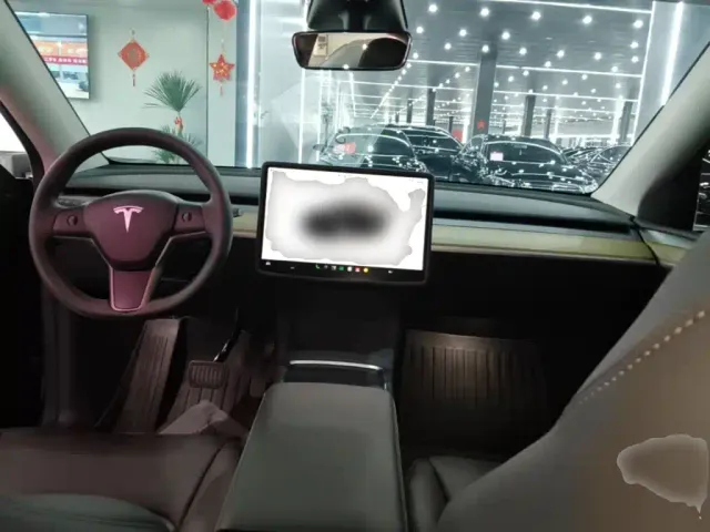 Tesla Model Y — Фото автомобиля 9