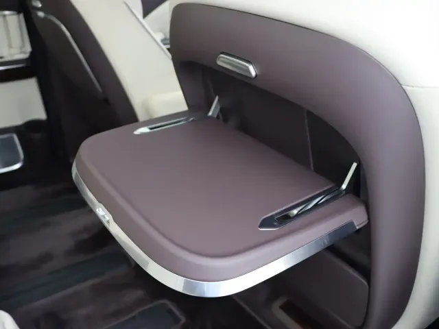 Hongqi Hongqi HQ9 2023 2.0T Smart Connect Flagship — Фото автомобиля 14