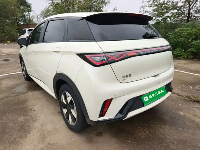 BYD Dolphin — Фото автомобиля 4