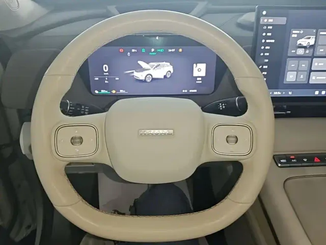 Haval Xiaolong MAX — Фото автомобиля 10