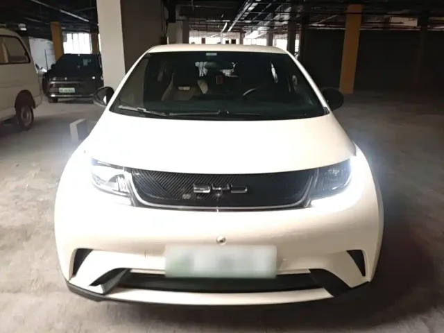 BYD Dolphin — Фото автомобиля 2