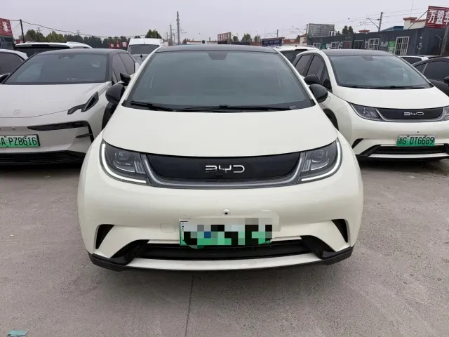 BYD Dolphin — Фото автомобиля 2