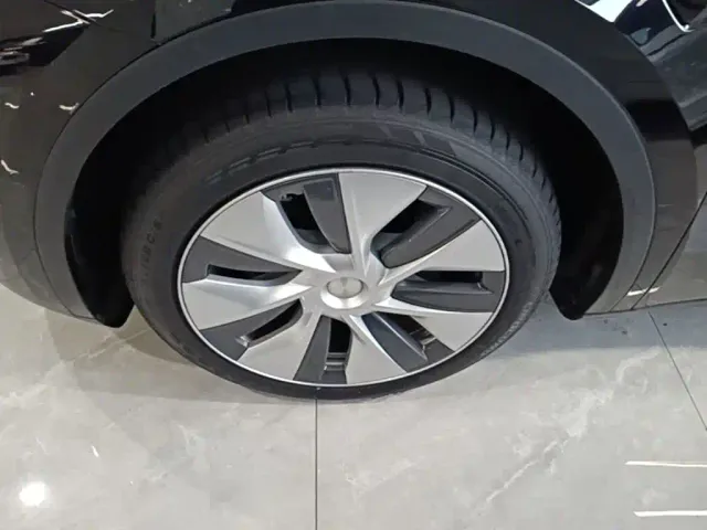 Tesla Model Y — Фото автомобиля 22
