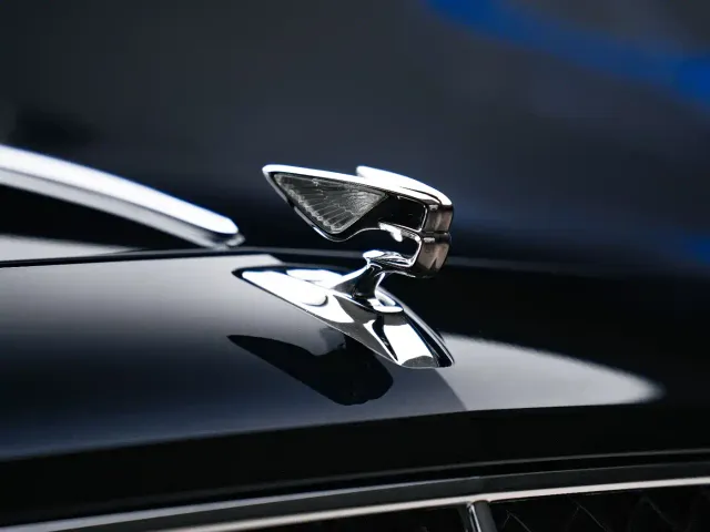 Bentley Flying Spur — Фото автомобиля 12