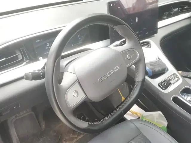 Geely Starry Wish — Фото автомобиля 15