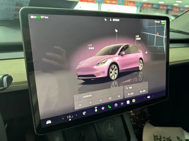 Tesla Model Y — Фото автомобиля 13
