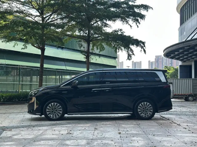 BYD Xia — Фото автомобиля 6