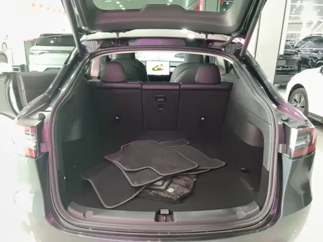 Tesla Model Y — Фото автомобиля 18
