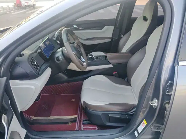 BYD Qin PLUS 2023 Champion Edition DM-i 55KM Leading — Фото автомобиля 14