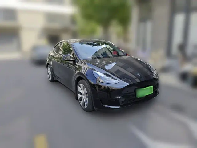 Tesla Model Y — Фото автомобиля 3