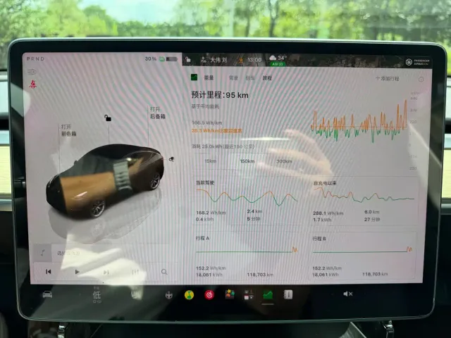 Tesla Model Y — Фото автомобиля 10