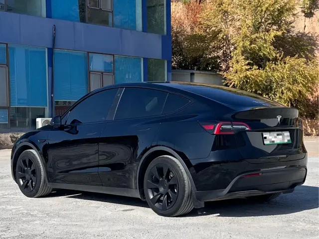 Tesla Model Y — Фото автомобиля 6