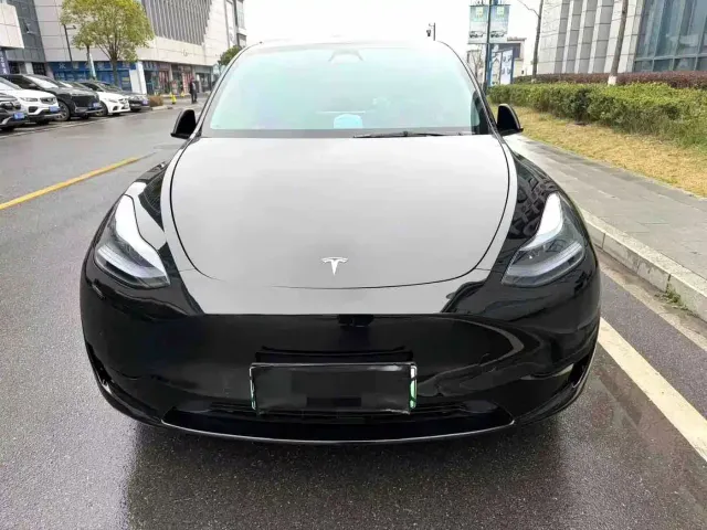 Tesla Model Y — Фото автомобиля 2
