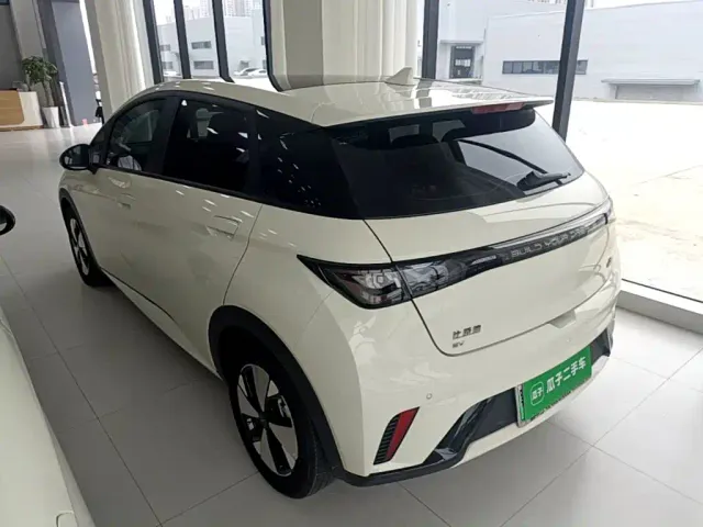 BYD Dolphin — Фото автомобиля 4