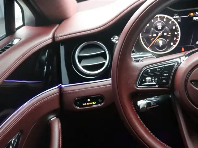 Bentley Flying Spur — Фото автомобиля 19