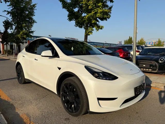 Tesla Model Y — Фото автомобиля 3