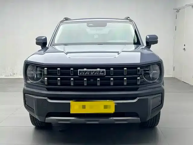 Haval Cool Dog — Фото автомобиля 2