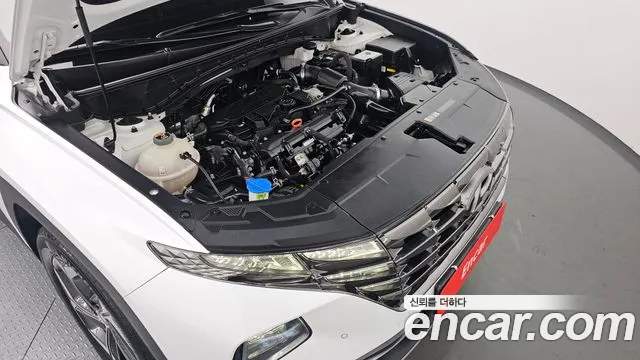 Hyundai Tucson Tucson (NX4) Бензин 1.6 турбо 2WD — Фото автомобиля 6