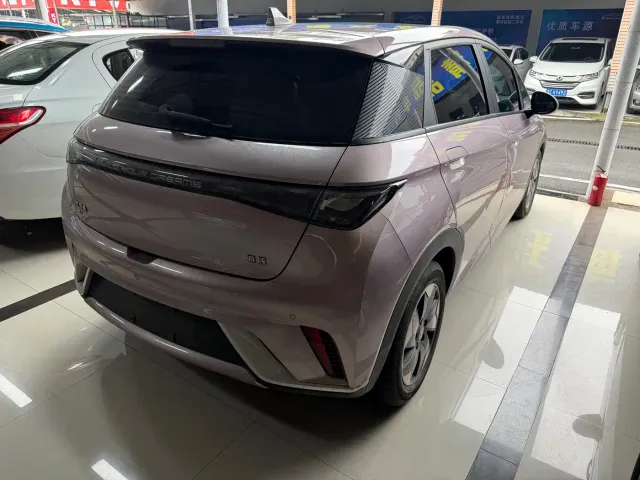 BYD Dolphin — Фото автомобиля 4