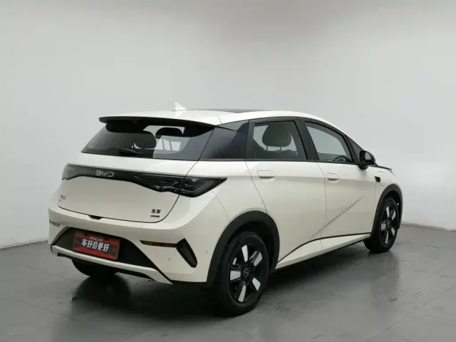 BYD Dolphin — Фото автомобиля 2