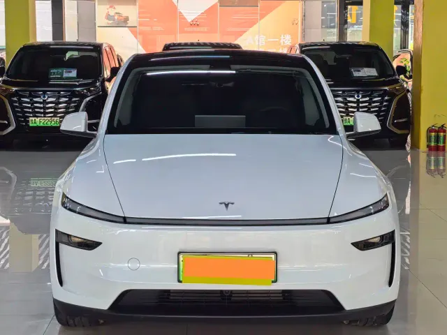 Tesla Model Y — Фото автомобиля 2