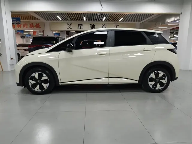 BYD Dolphin — Фото автомобиля 3