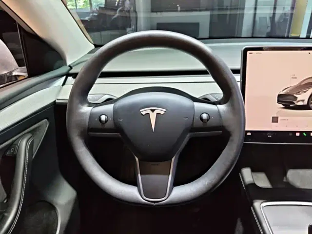 Tesla Model Y — Фото автомобиля 10