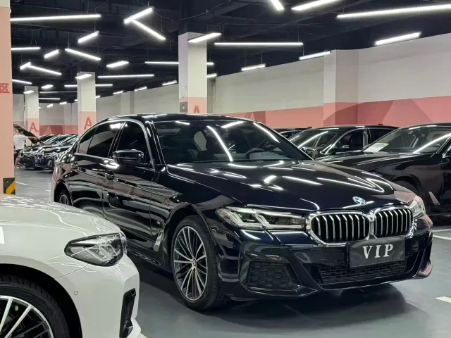 BMW 5 Series — Фото автомобиля 3