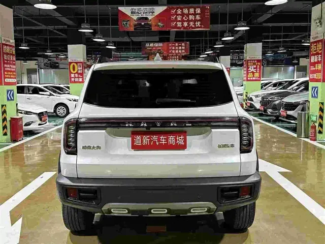 Haval Big Dog — Фото автомобиля 8