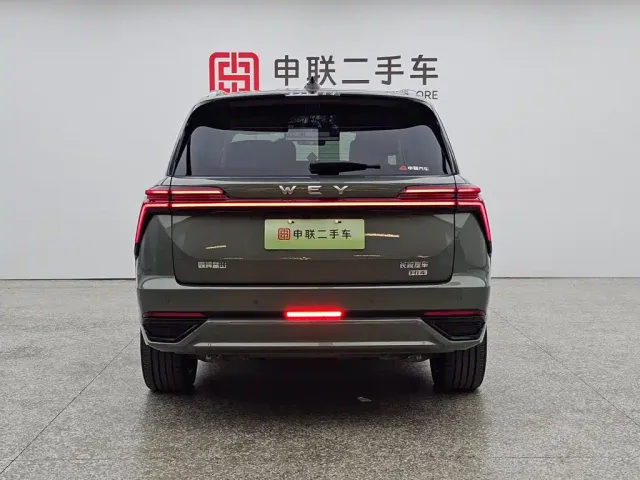 Wey Lanshan — Фото автомобиля 2