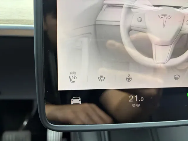 Tesla Model Y — Фото автомобиля 12